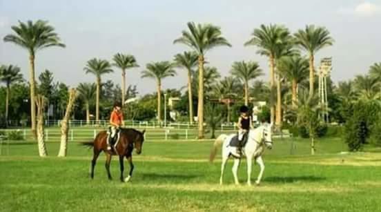 Sakkara Country Club Hotel El Hawamdeya Экстерьер фото