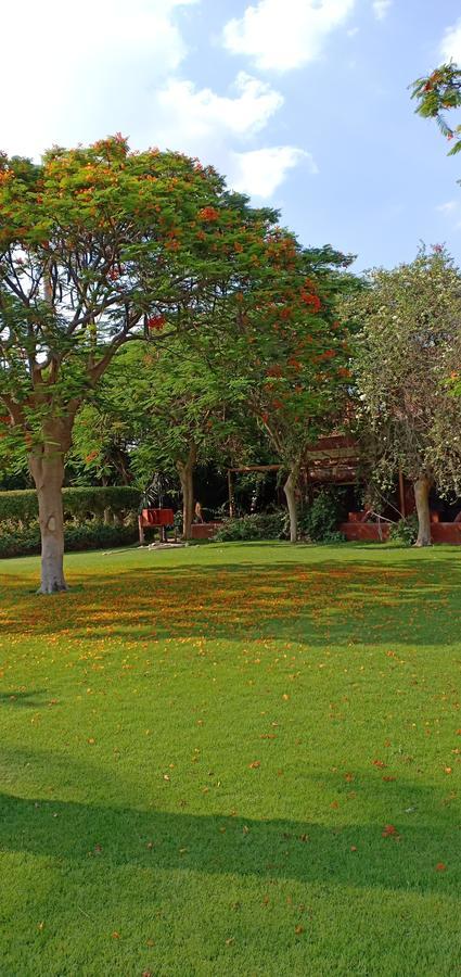 Sakkara Country Club Hotel El Hawamdeya Экстерьер фото